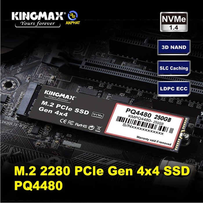 Ổ cứng SSD KINGMAX PQ4480 250GB NVMe M.2 2280 PCIe Gen 4x4 - Hình ảnh 2